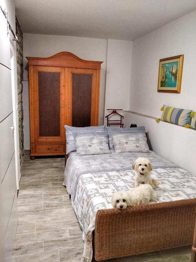 Múggia Apartment Trieste M&M מראה חיצוני תמונה