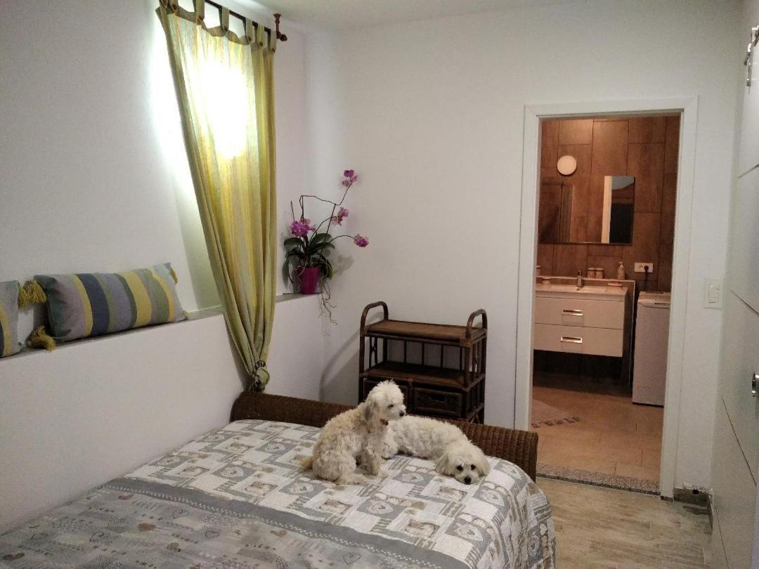 Múggia Apartment Trieste M&M מראה חיצוני תמונה