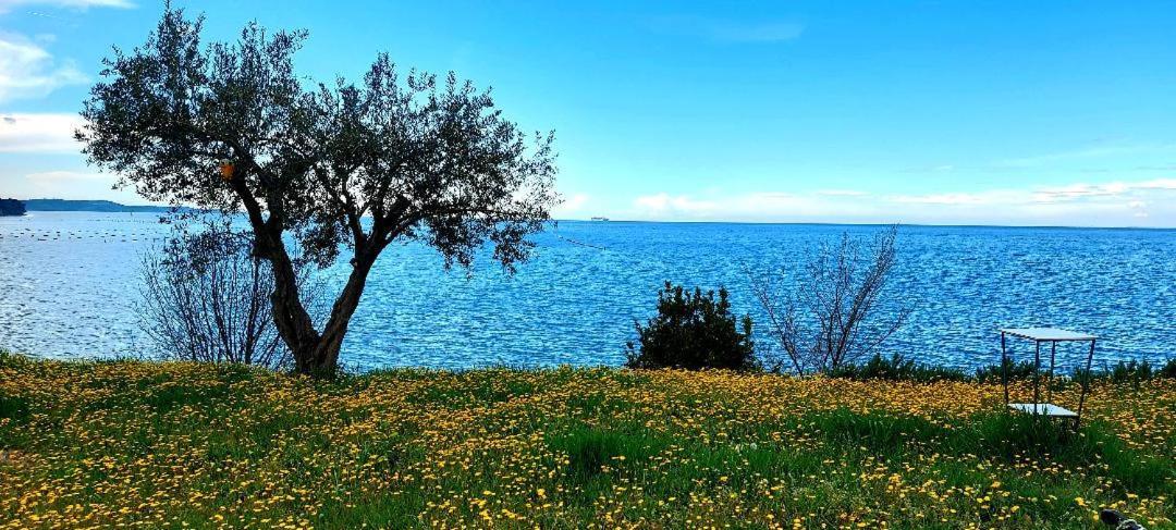 Múggia Apartment Trieste M&M מראה חיצוני תמונה